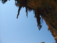 грот Dogub Cave